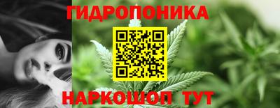 mix Новодвинск