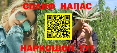 гидра Новокубанск