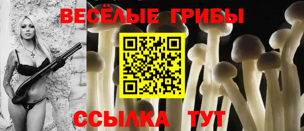 Галлюциногенные грибы Psilocybe Серпухов